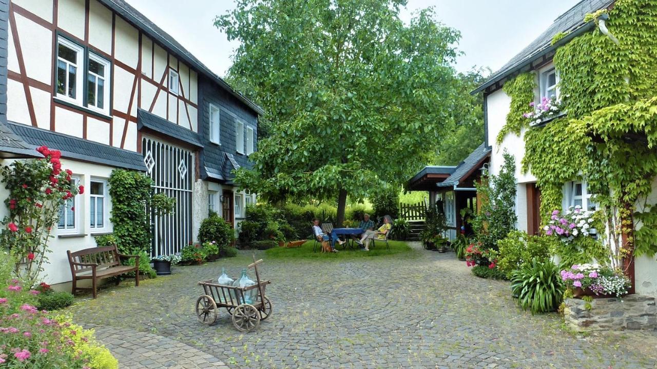 Ferienhof Mies Steffenshof Zewnętrze zdjęcie
