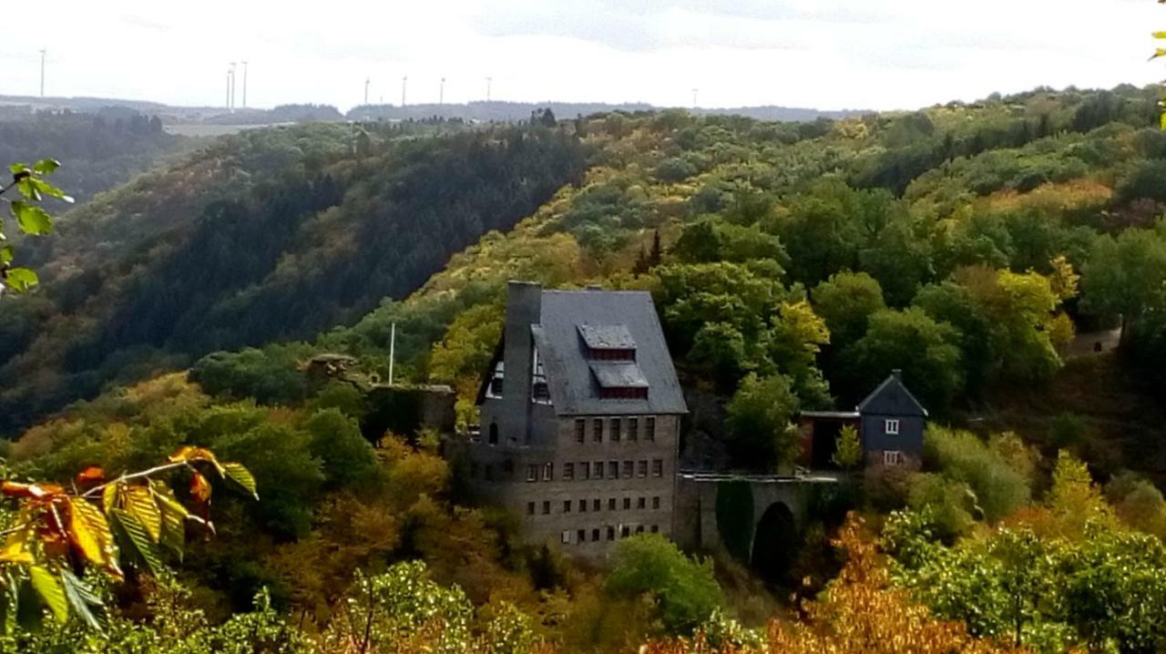Ferienhof Mies Steffenshof Zewnętrze zdjęcie