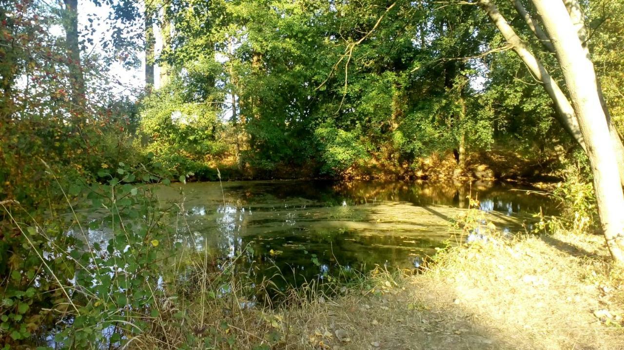 Ferienhof Mies Steffenshof Zewnętrze zdjęcie